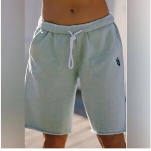 582. FREE PEOPLE For The Win Long Shorts in Pistachio NWT $58